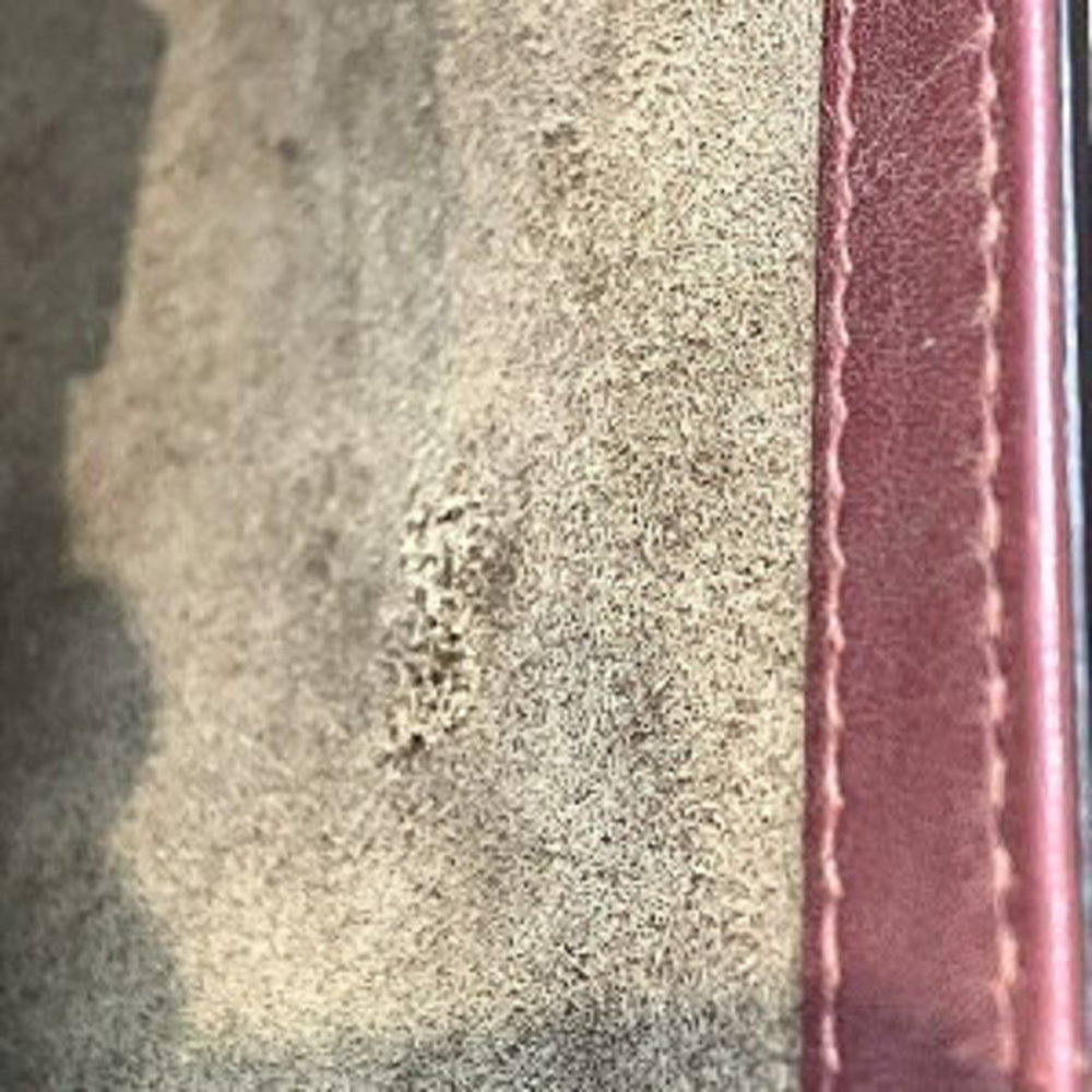 Gucci Supreme Chain Bag Flora Shoulder GG - Picture 8 of 8